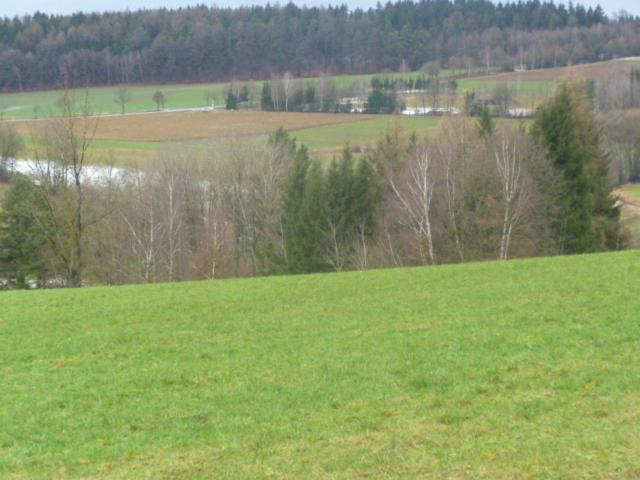 Blockhaus Mit Wlan Bayern Villa Stamsried Екстериор снимка